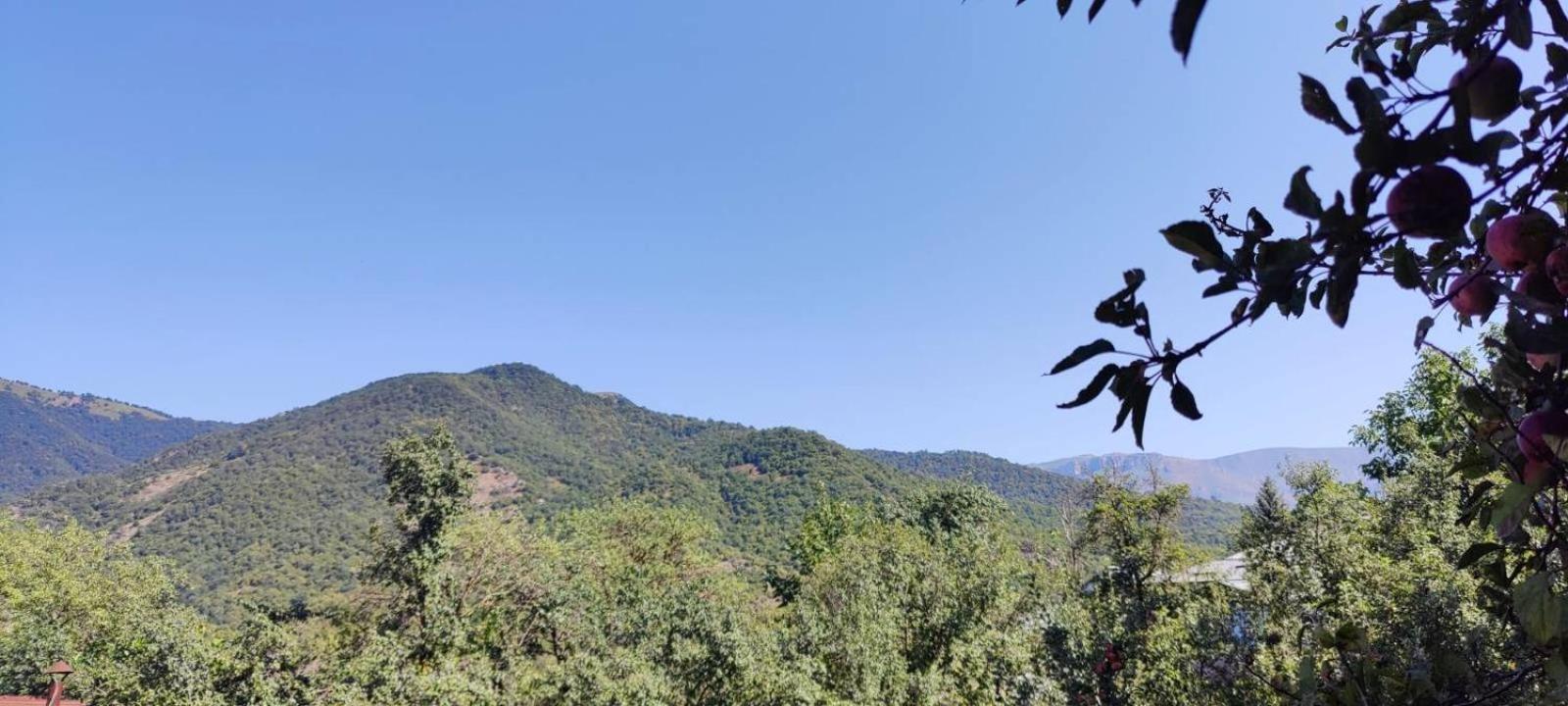 Sunny Lodge Dilijan Eksteriør bilde